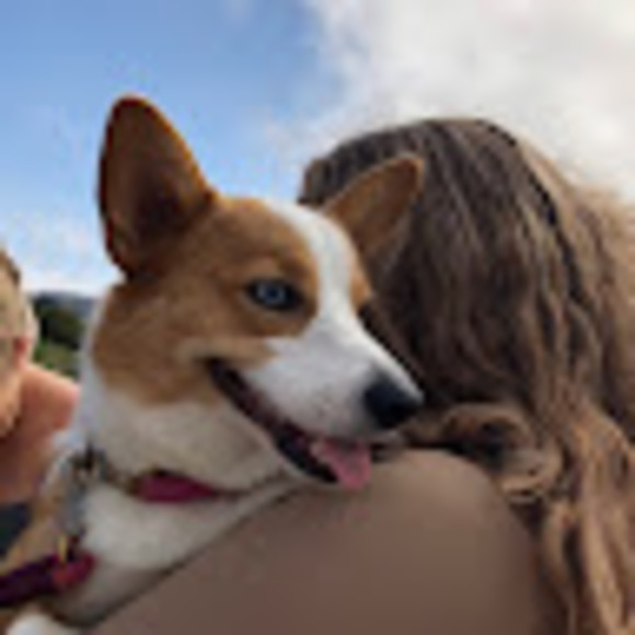 Meet your Posher, Juliet - Picture 1 of 1